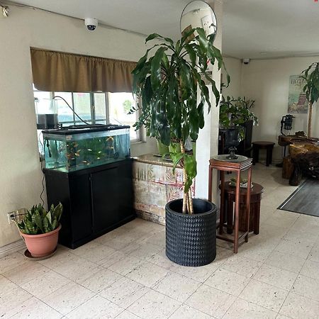 Palm Inn Motel - Rosemead, Los Angeles Zewnętrze zdjęcie